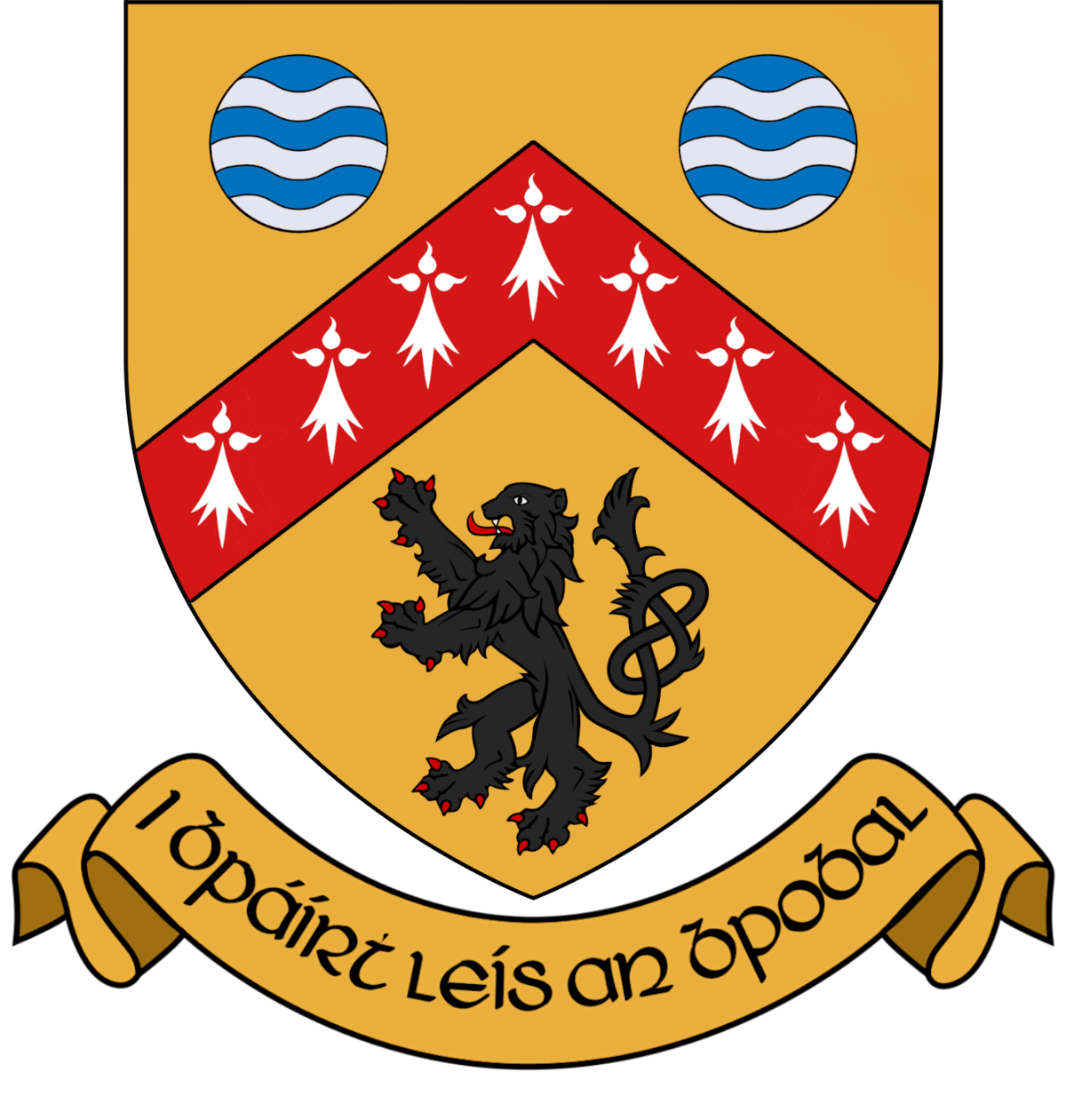 Laois County Council